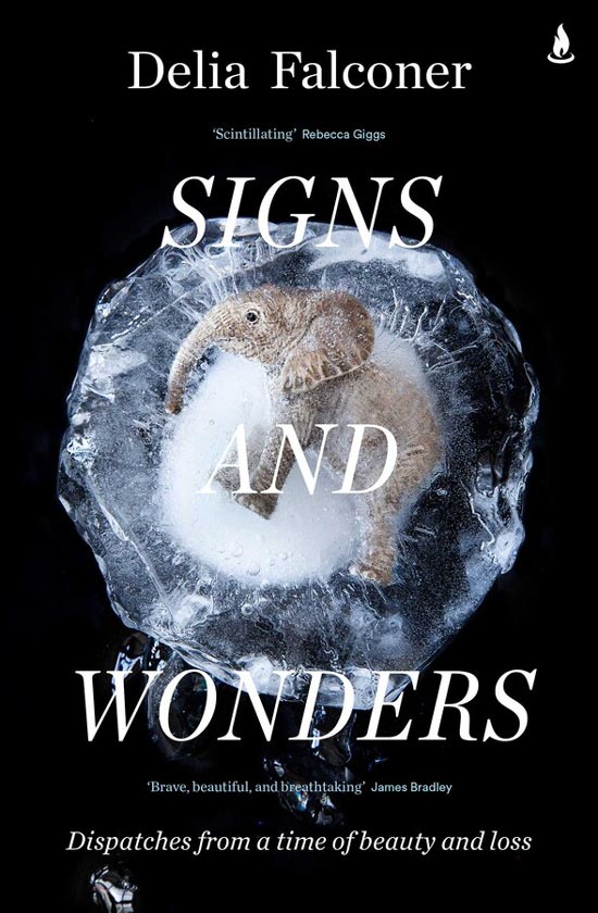 Signs and Wonders, by Delia Falconer, book cover