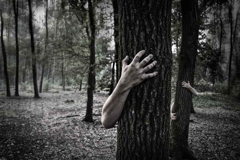 Arms wrapped around trees trunks, spooky, photo by Simon Wijers