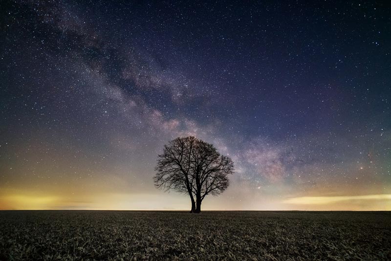 Tree on dark plain, stars and night sky in background, photo by Evgeni Tcherkasski