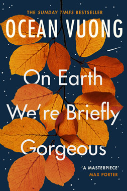 On Earth We're Briefly Gorgeous, by Ocean Vuong, book cover